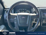 2013 F-150 Thumbnail 15