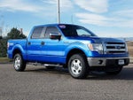 2013 F-150 Thumbnail 7