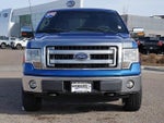 2013 F-150 Thumbnail 8