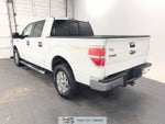 2014 F-150 Thumbnail 4