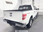 2014 F-150 Thumbnail 6