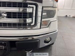 2014 F-150 Thumbnail 10