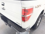 2014 F-150 Thumbnail 12