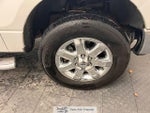 2014 F-150 Thumbnail 16