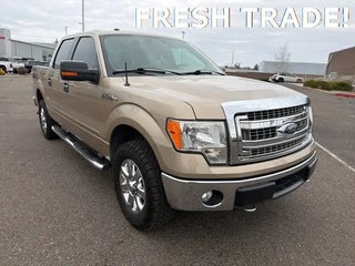 2014 Ford F-150 with Pale Adobe Metallic Exterior