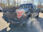 2014 F-150 Thumbnail 5