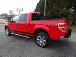2014 F-150 Thumbnail 3