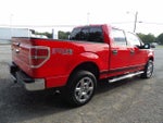 2014 F-150 Thumbnail 5