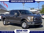 2017 F-150 Thumbnail 1