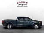 2015 F-150 Thumbnail 8