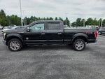 2015 F-150 Thumbnail 2