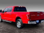 2016 F-150 Thumbnail 25