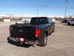 2018 F-150 Thumbnail 6