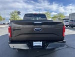 2016 F-150 Thumbnail 5