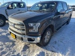 2016 F-150 Thumbnail 3