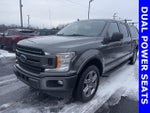 2018 F-150 Thumbnail 5