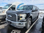 2016 F-150 Thumbnail 2