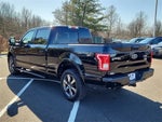 2017 F-150 Thumbnail 4
