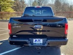 2017 F-150 Thumbnail 5