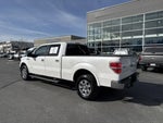 2012 F-150 Thumbnail 3