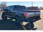 2013 F-150 Thumbnail 13