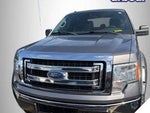 2013 F-150 Thumbnail 1