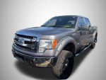 2013 F-150 Thumbnail 2