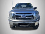 2013 F-150 Thumbnail 8