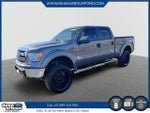 2013 F-150 Thumbnail 1