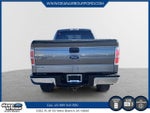 2013 F-150 Thumbnail 3