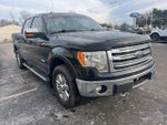 2013 F-150 Thumbnail 6
