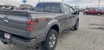 2013 F-150 Thumbnail 8