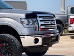 2013 F-150 Thumbnail 9