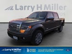 2014 F-150 Thumbnail 1