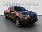 2014 F-150 Thumbnail 7