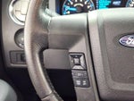 2014 F-150 Thumbnail 18