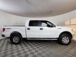 2014 F-150 Thumbnail 8