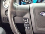 2014 F-150 Thumbnail 18
