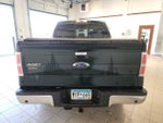 2014 F-150 Thumbnail 5