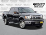 2011 F-150 Thumbnail 1