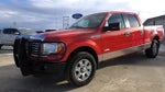 2011 F-150 Thumbnail 1