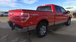 2011 F-150 Thumbnail 5