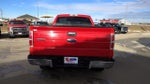 2011 F-150 Thumbnail 7