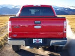 2011 F-150 Thumbnail 5