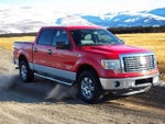 2011 F-150 Thumbnail 7