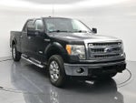2013 F-150 Thumbnail 3