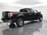 2013 F-150 Thumbnail 5