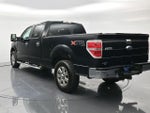 2013 F-150 Thumbnail 7