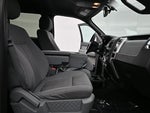 2013 F-150 Thumbnail 18