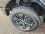 2013 F-150 Thumbnail 19
